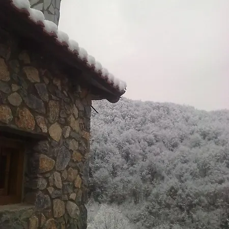 Diaselon דירה אלאטוחורי