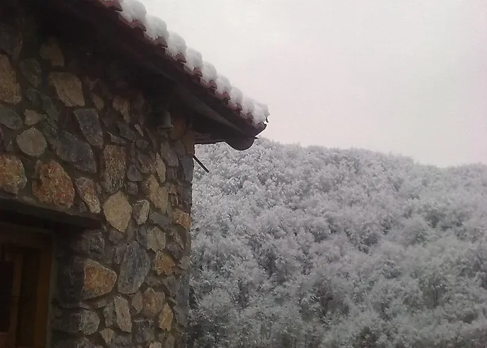 Diaselon Apartamento Elatochori